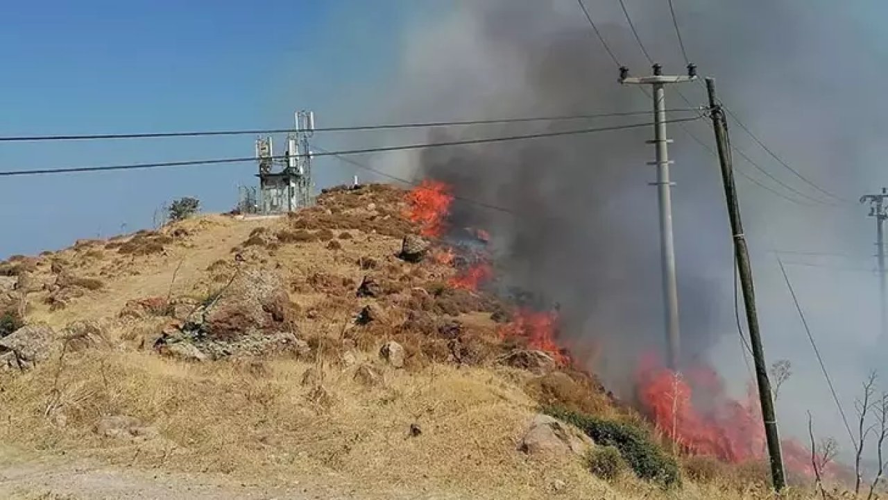 Bodrum'da otluk ve makilik alanda yangın çıktı