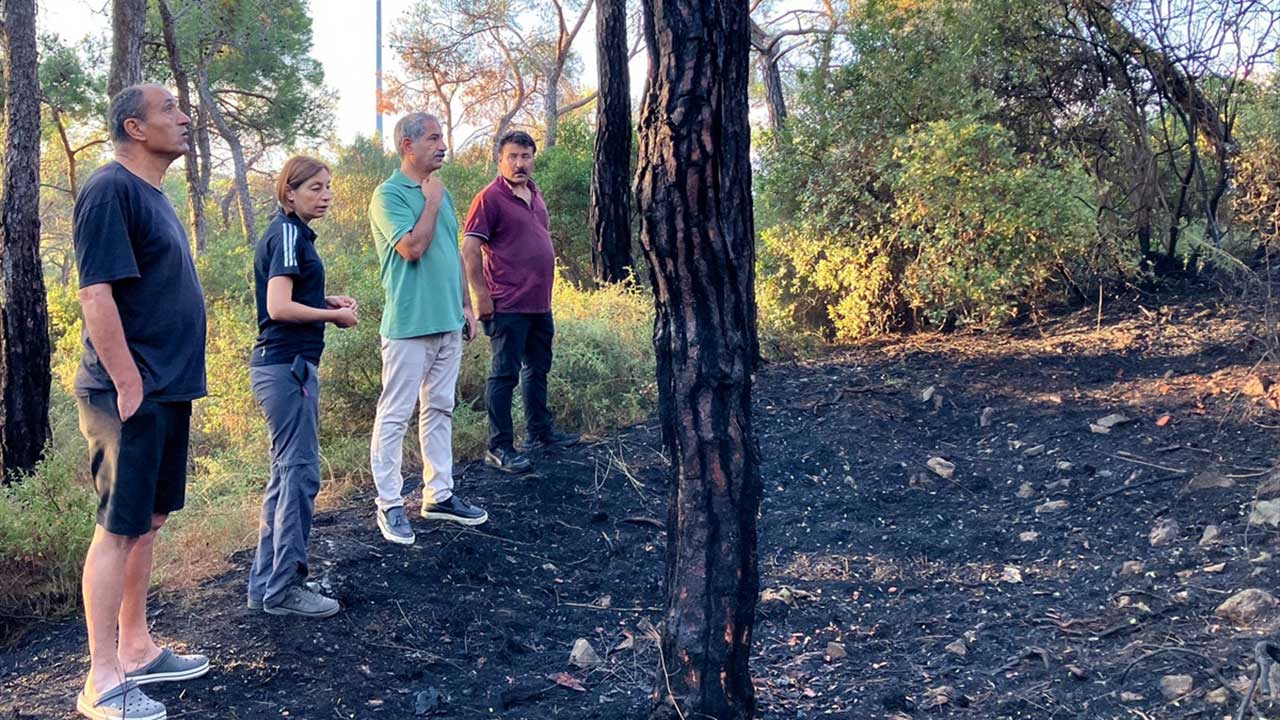 Heybeliada'da ormanlık alanda çıkan yangın kontrol altına alındı