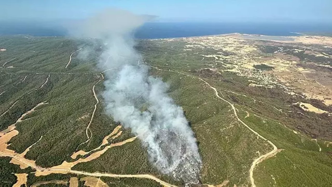 Çanakkale'nin Büyükanafarta köyünde yangın