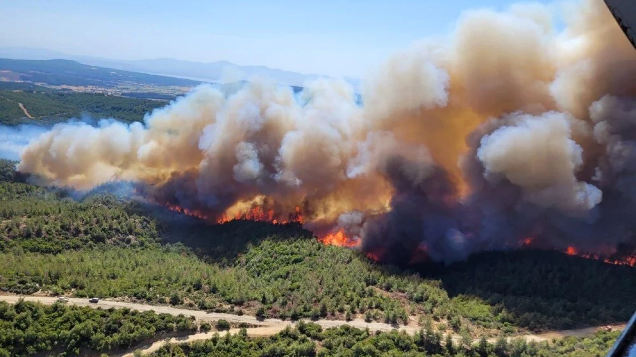 Bolu, Manisa ve İzmir'de orman yangınları