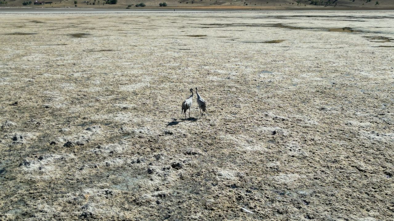 Bingöl Gölü’nden geriye sadece tuz ve iki turna kaldı