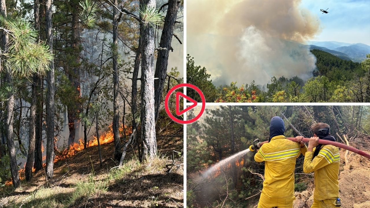 Karabük'te orman yangını