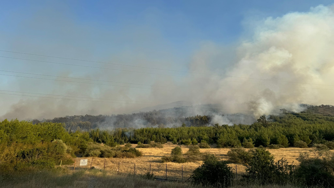 İzmir'in Menderes ilçesinde çıkan orman yangını kontrol altına alındı