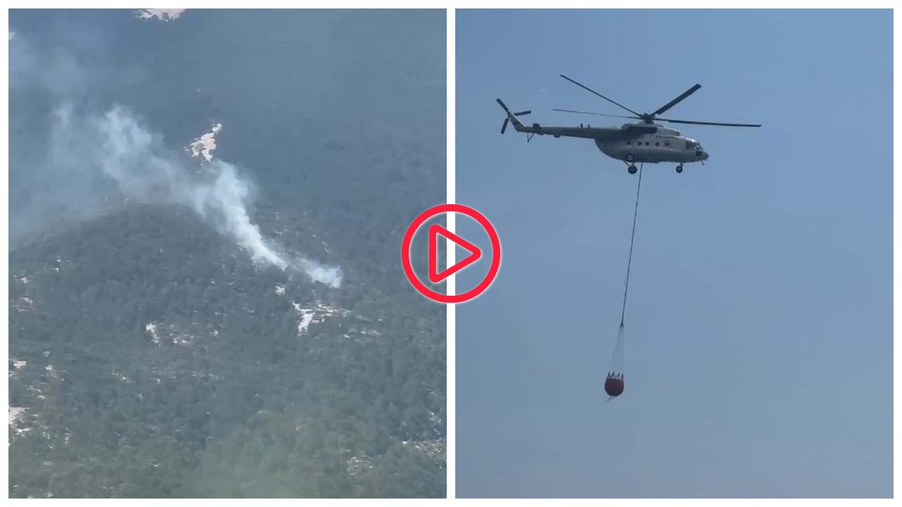 Kazdağları'nda orman yangını