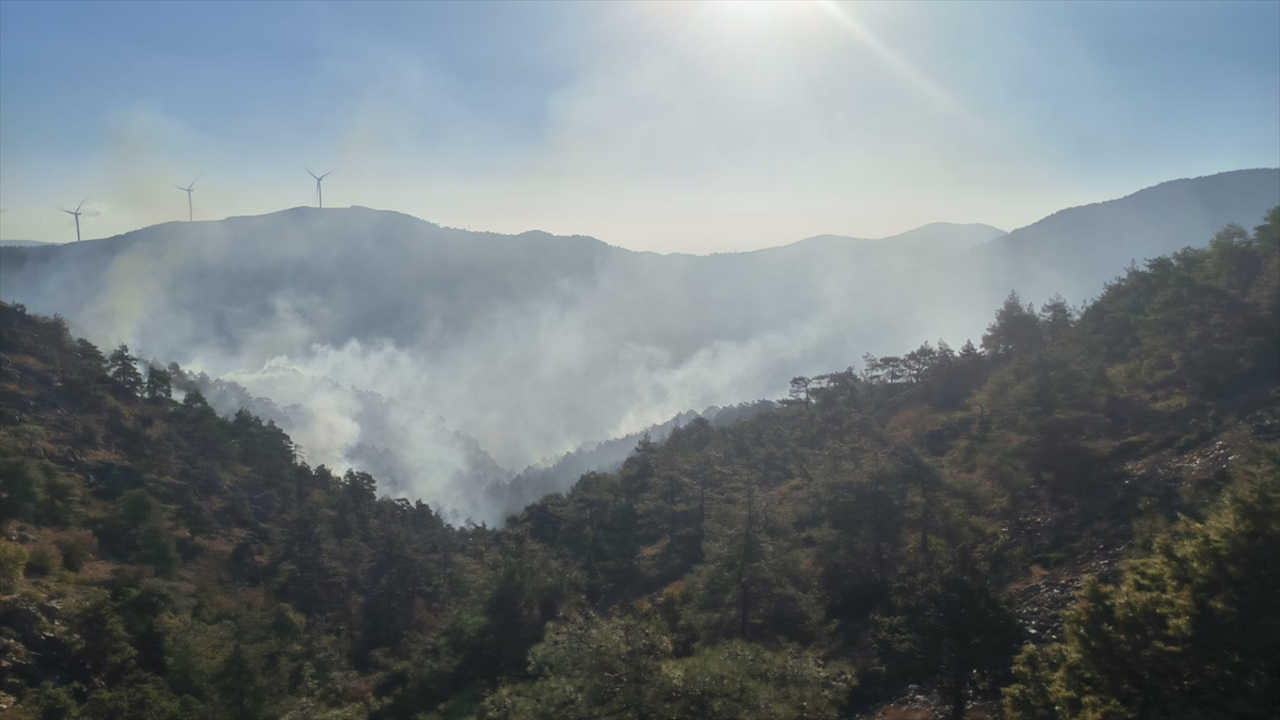 Hatay'da orman yangını