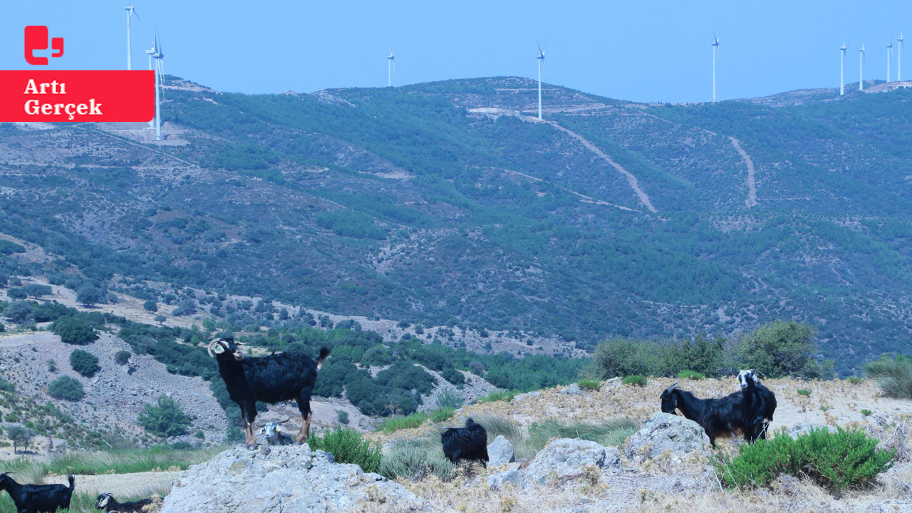 Karaburun’un simgesine GES tehdidi