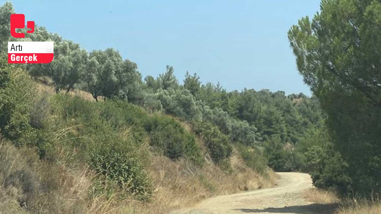 Zeytinliklere JES ısrarı: Dördüncü kez ÇED süreci başlatıldı