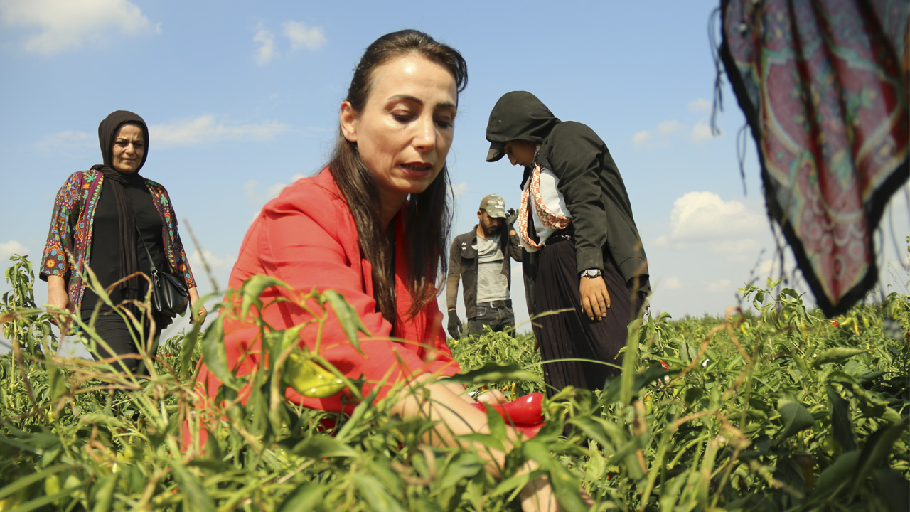 Hatimoğulları: İnsanlar evlerine ekmek götüremiyor