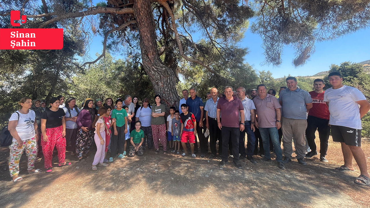 Künesler mezrası hukuk mücadelesini kazandı:  Yargı orman katliamına 'dur' dedi