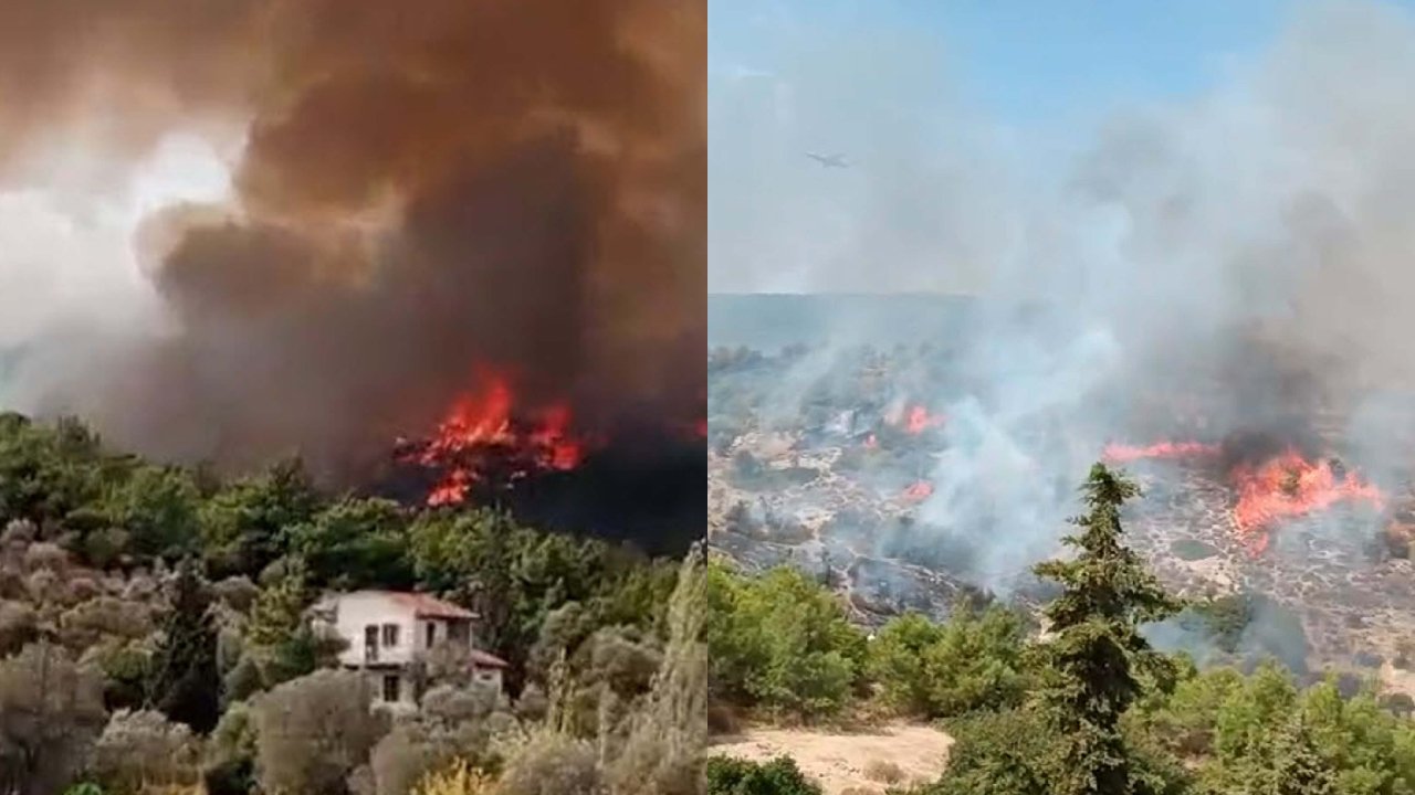 İzmir'de çöplükte çıkan yangın, ormana sıçradı