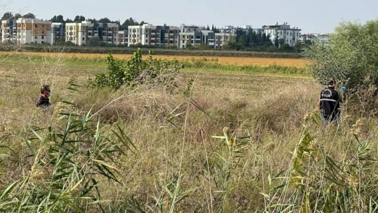 Adana'da parçalanmış ceset bulundu