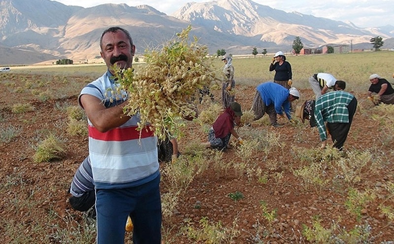 Hükümet şimdi de Ovacık'a göz dikti