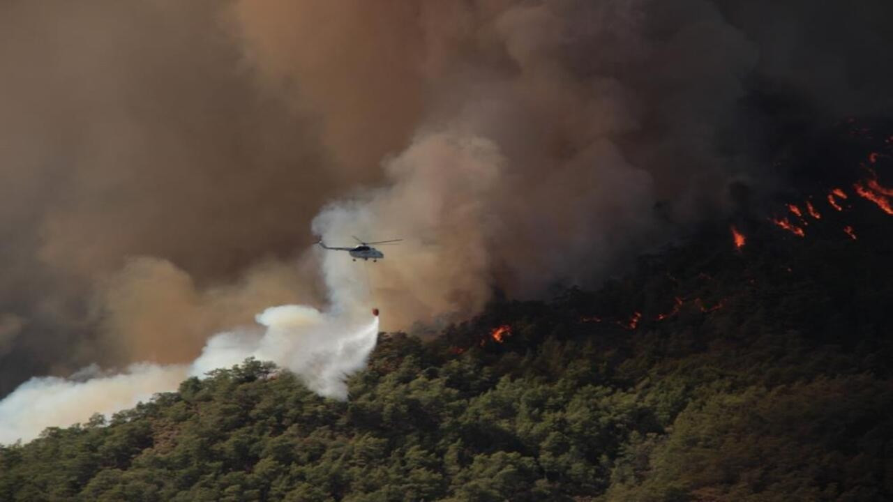 Muğla'daki orman yangınlarında 849 hektar kül oldu