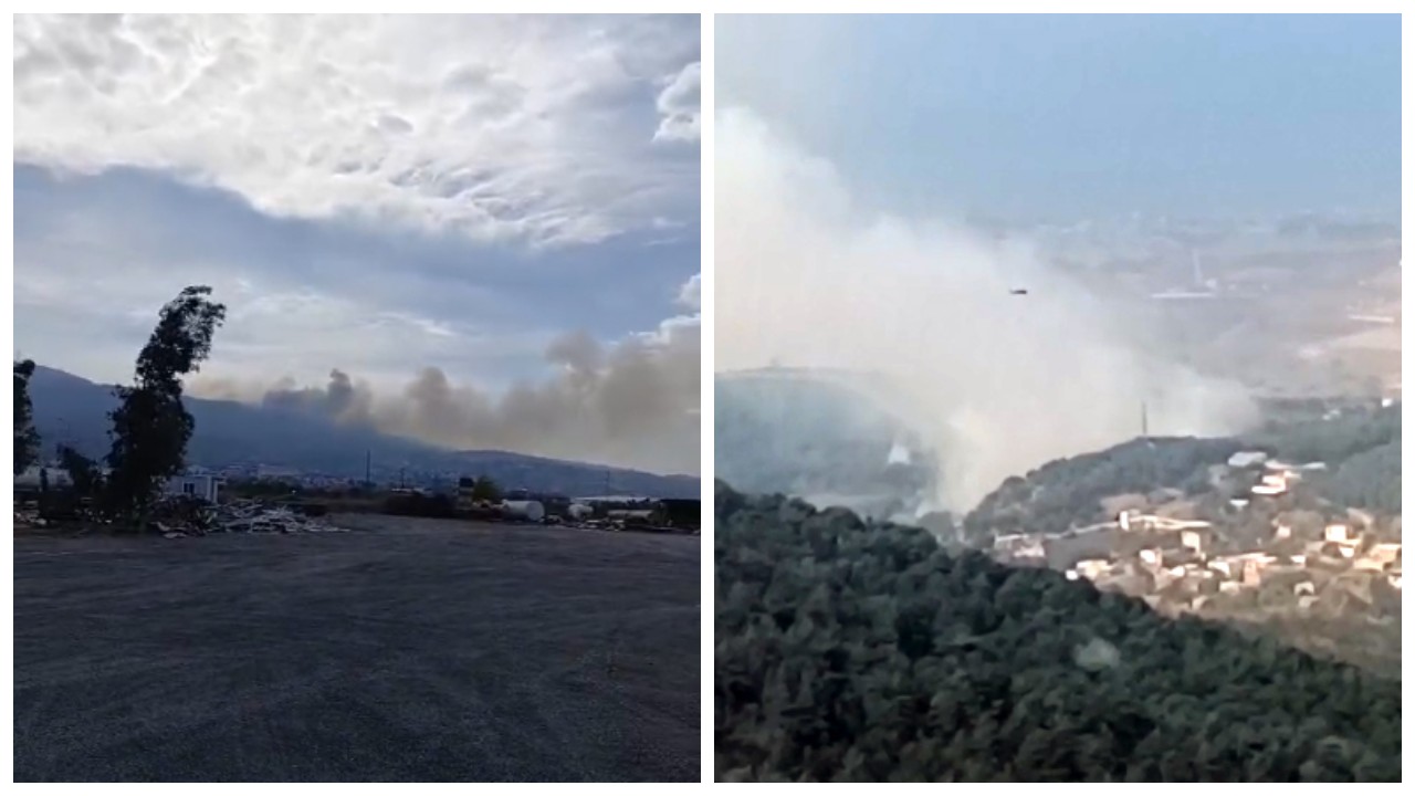 Hatay'da orman yangını