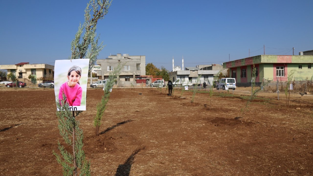 Narin, Rojin ve Şirin anısına fidan dikildi