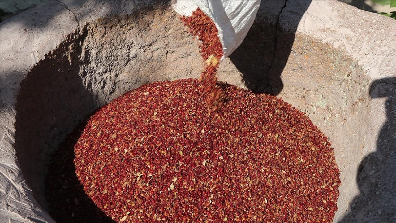 Eklendiği birçok şeye lezzet katıyor! Meğer bir tutamı bile şifaymış