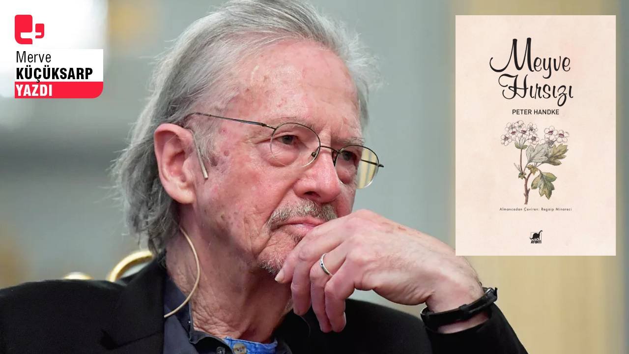 Handke'den yavaşlığa dair bir roman