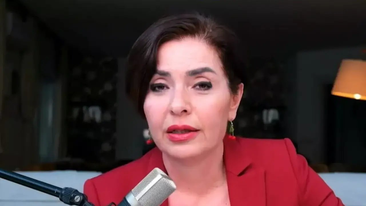 Gazeteci Özlem Gürses 'SMO' yorumu nedeniyle gözaltına alındı