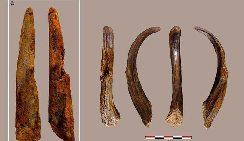 İspanya'da bilinen en eski Neandertal ahşap aleti bulundu