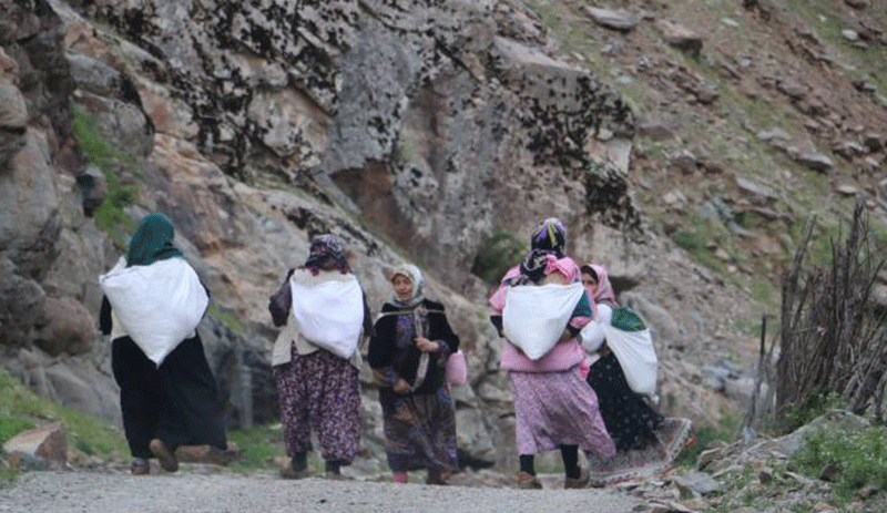 Berivanların asma köprüleri ve patika yolları yasaklandı