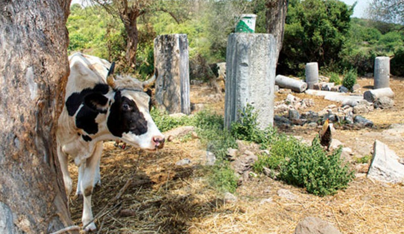 Sahibinden satılık 2 bin 500 yıllık antik kent