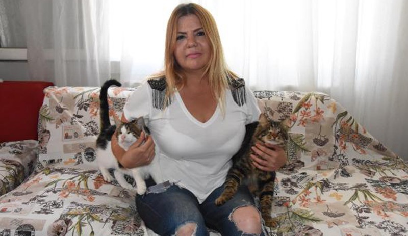 Kedi besleyen komşusuna hakaret edince mama almak zorunda kaldı