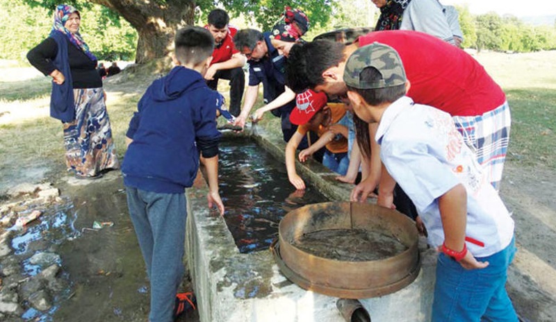 Kıyıya vuran balıkları yaşatmak için çeşmede yıkadılar