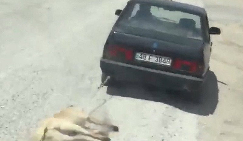 Köpeği aracının arkasına bağlayıp sürükledi