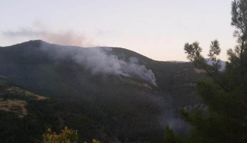 Hatay'da orman yangını