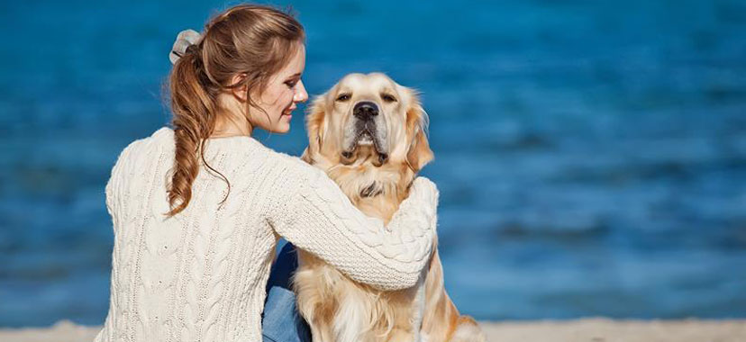 Kesin bilgi: Köpekler sahiplerine benziyor