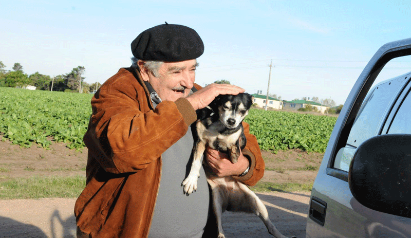 Köpeğinin öldüğü gün senatörlükten istifa kararı aldı