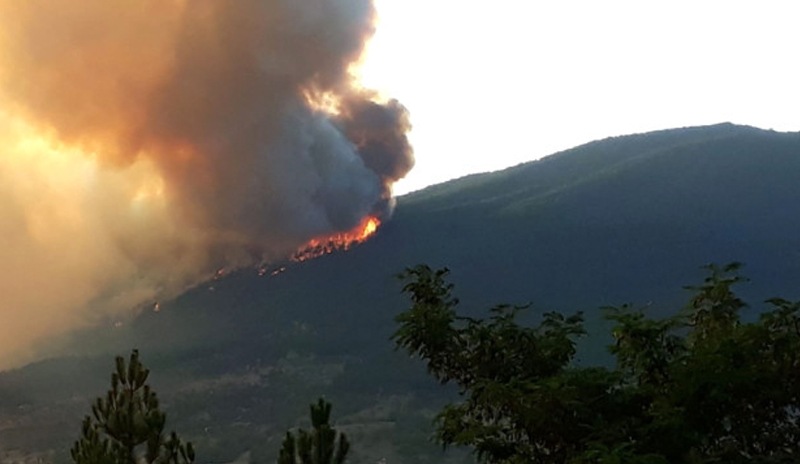 Kastamonu'daki orman yangınında 20 dönümlük alan kül oldu