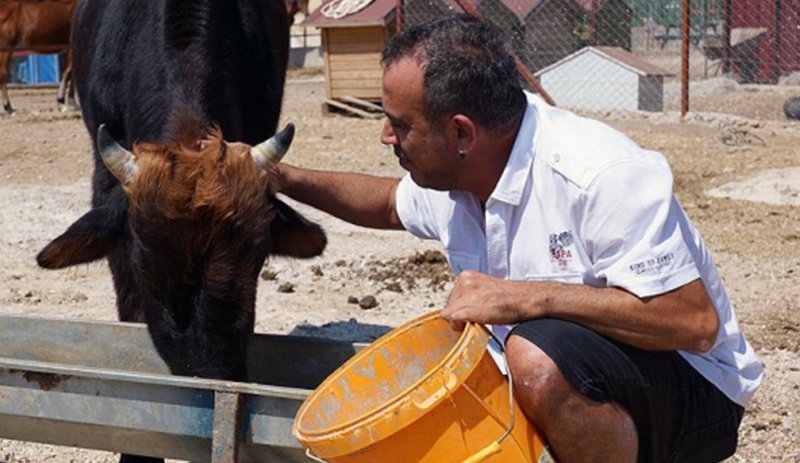 Haluk Levent'ten dana Ferdinand'a ziyaret