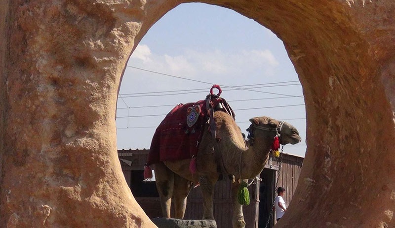 Umumi tuvalet geleneği Harran'dan geliyor