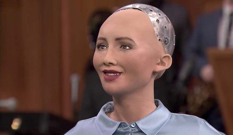 Sophia 'robot vizesi' aldı