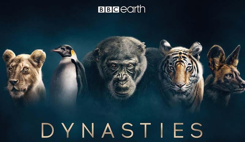 BBC Earth'ten etkileyici belgesel: Soylar