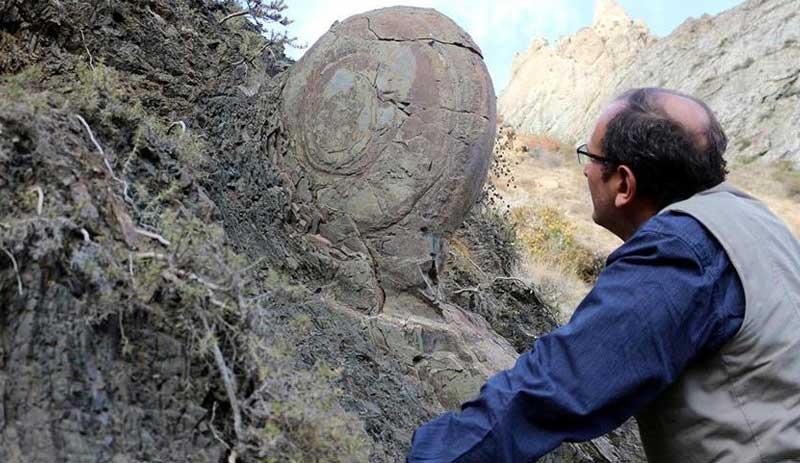 Erzurum'da bulunan 70 milyonluk 'salyangoz' kaya taşınamıyor