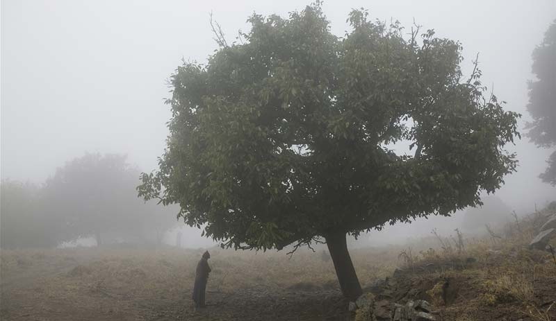 Nar Photos'tan yılbaşı özel edisyonu