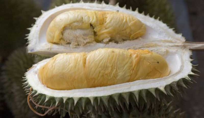 Durian: 3 yılda bir yetişen meyvenin tanesi 5280 liraya satılıyor