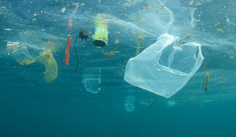 Ölü balinanın karnından 40 kilo plastik çıktı