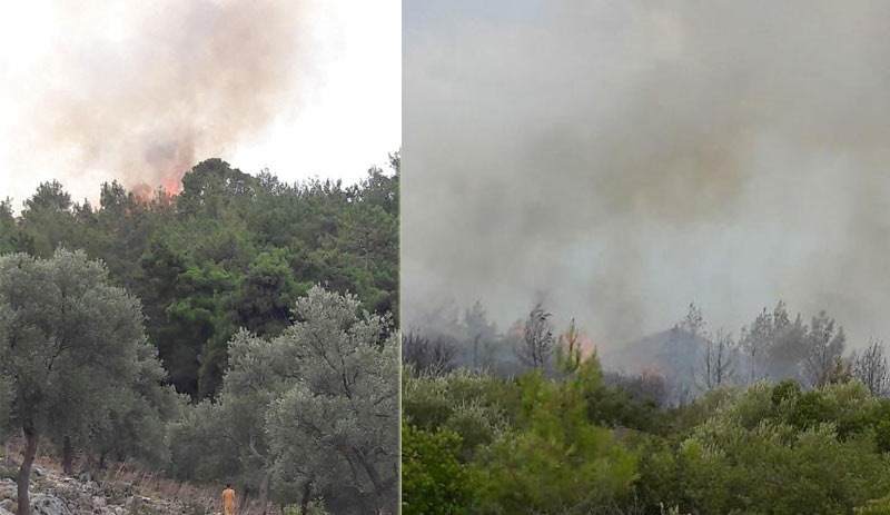Şimdi de Milas'ta orman yangını