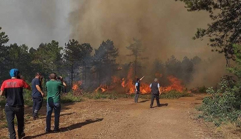 Bursa Orman Bölge Müdürü: Yangını kayıtlarımıza sabotaj olarak geçirdik