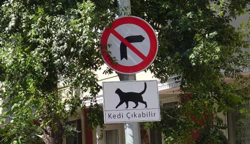 Sokaklara ‘Kedi Çıkabilir’ tabelaları astılar