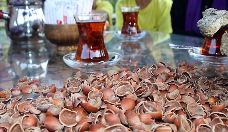 Fındık kabuğundan çay yaptı