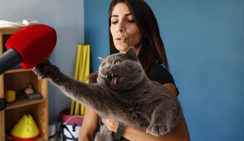 Obez kedi, egzersiz ile 4,5 kilo verdi