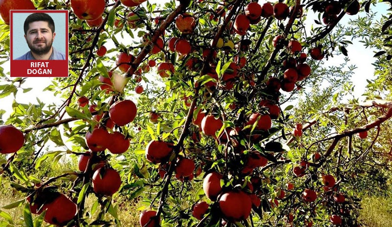 Satılacak 50 ton elma bursa dönüşecek