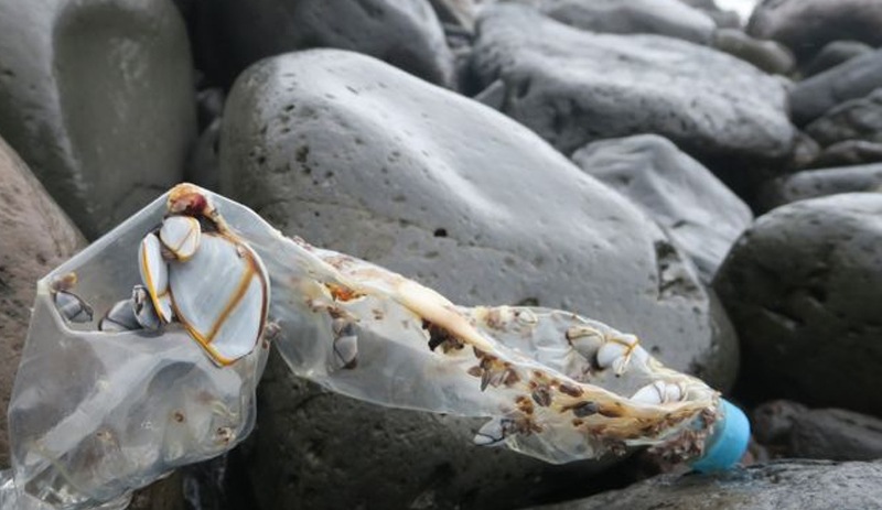 Plastik atıklar Erişilemeyen Ada'ya erişti