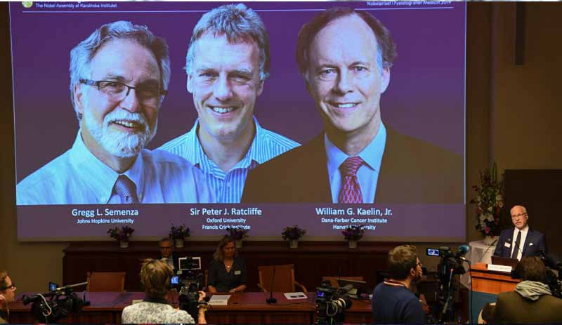 Nobel Tıp Ödülü'nü kazananlar belli oldu