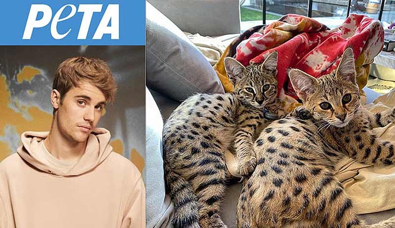 Bieber'den PETA'ya: Gerçek sorunlara odaklanın