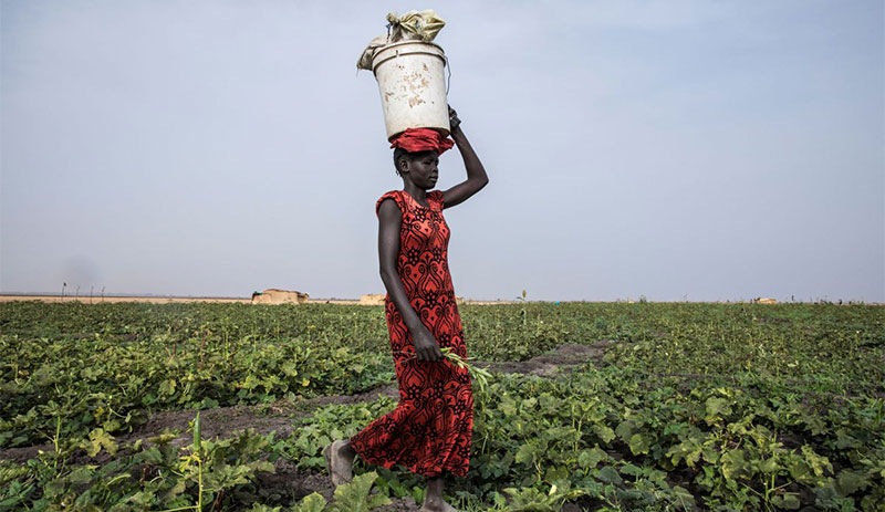 Çiftçisine destek ödeyemeyen Türkiye, Sudan’dan tarım ürünü alacak